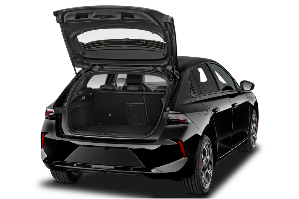 trunk