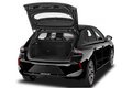 trunk