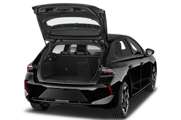 trunk