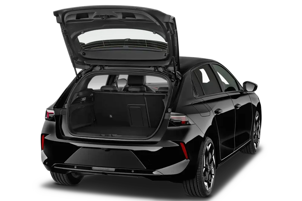 trunk