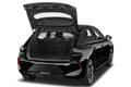 trunk