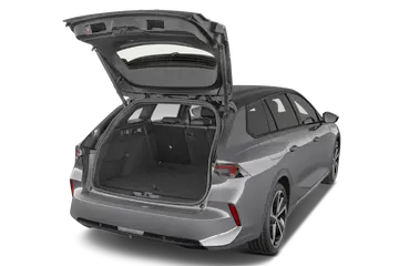 trunk