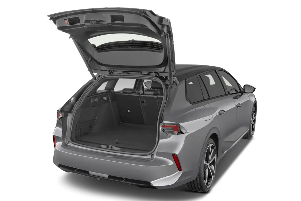 trunk