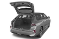 trunk