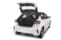 trunk