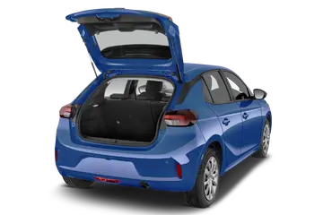 trunk