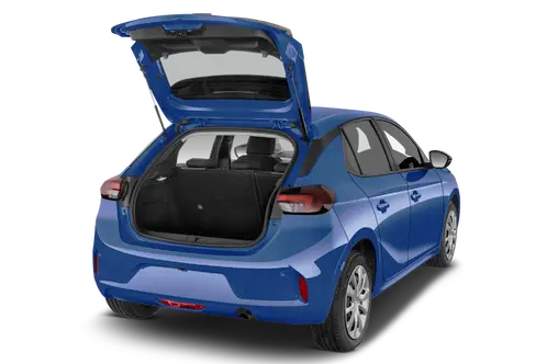 trunk