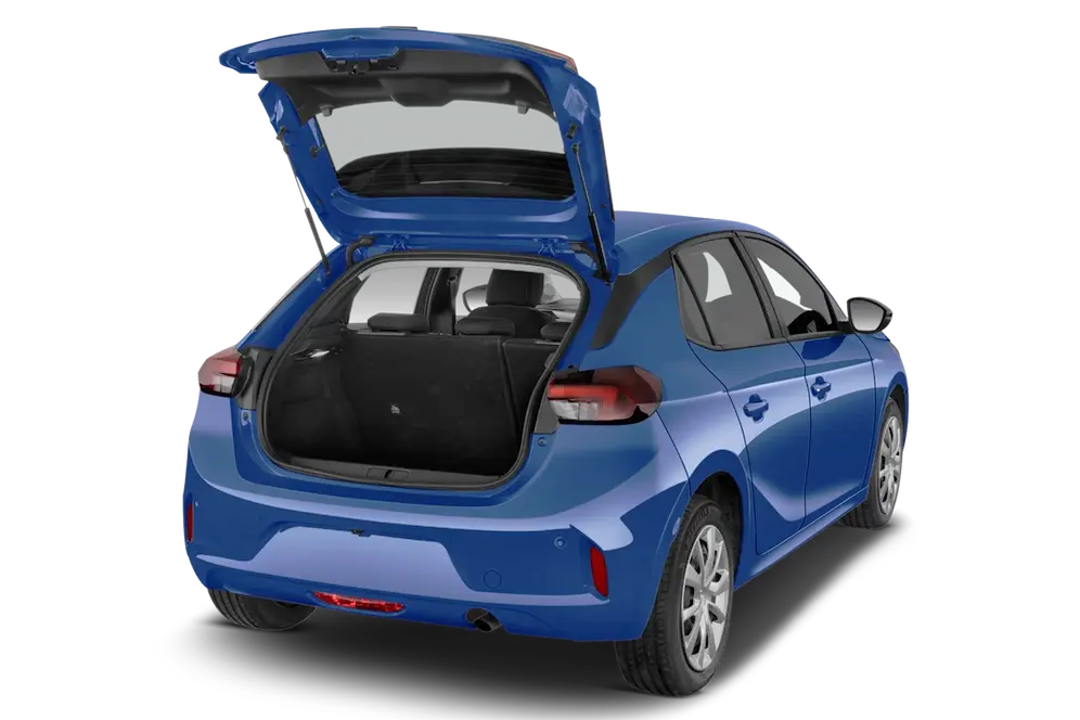trunk