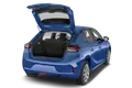trunk