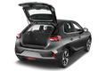 trunk
