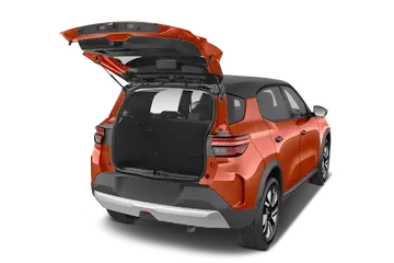 trunk