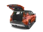 trunk