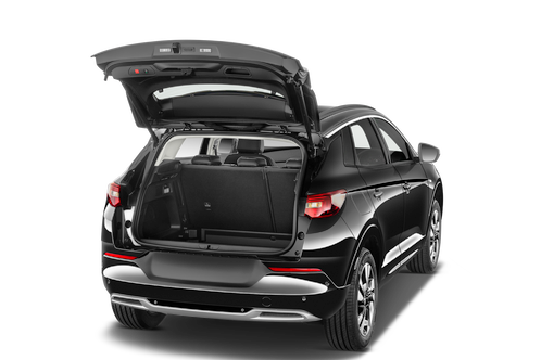 trunk