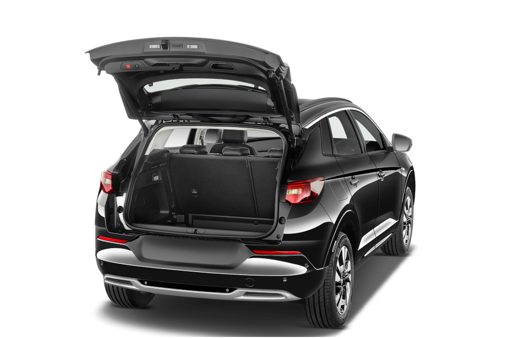 trunk