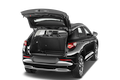 trunk