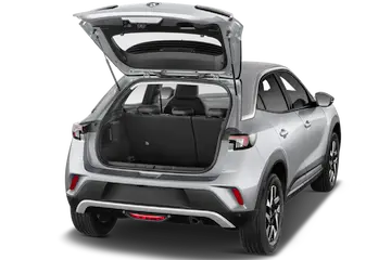 trunk
