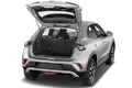 trunk