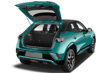 trunk