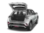 trunk