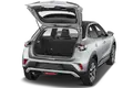 trunk