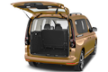 trunk