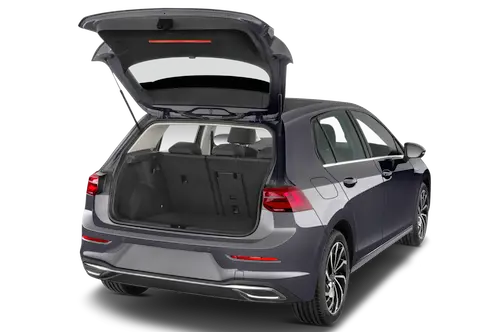 trunk