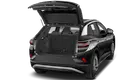 trunk
