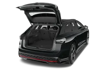 trunk