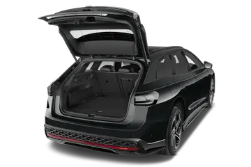 trunk