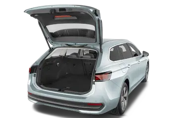 trunk