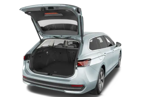 trunk