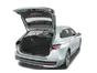 trunk
