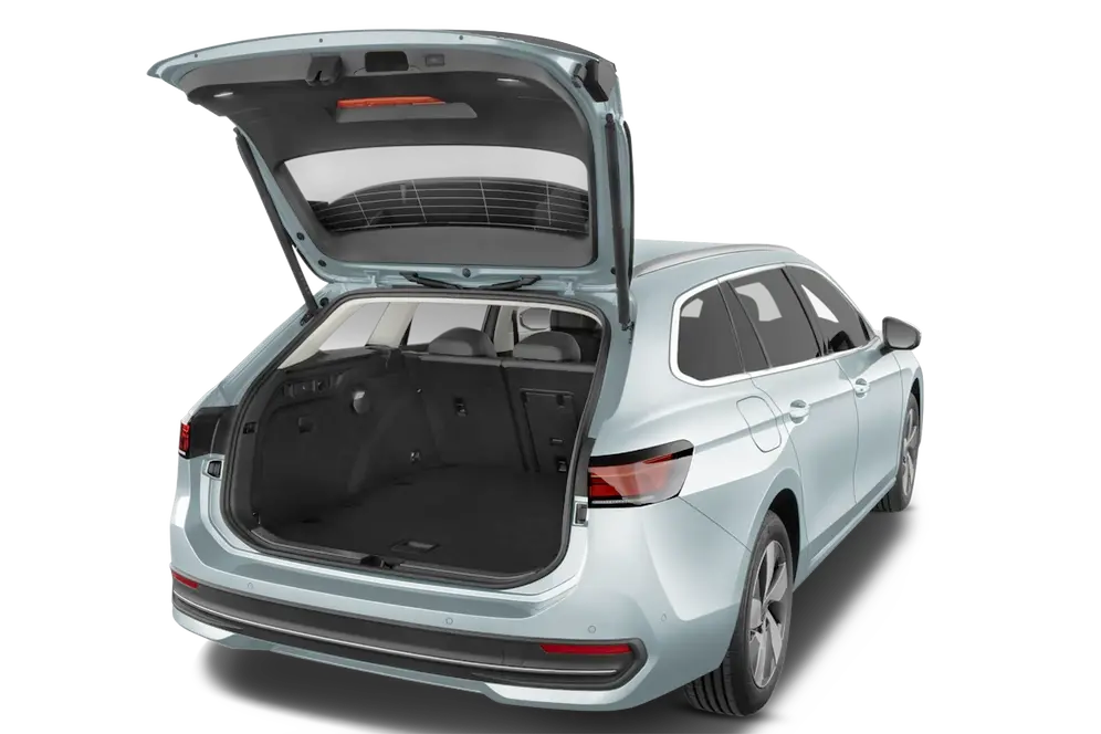trunk