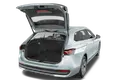 trunk