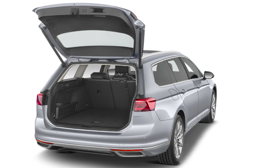 trunk