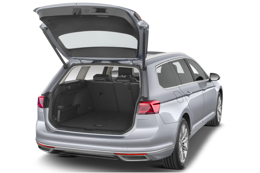 trunk