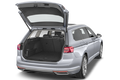 trunk