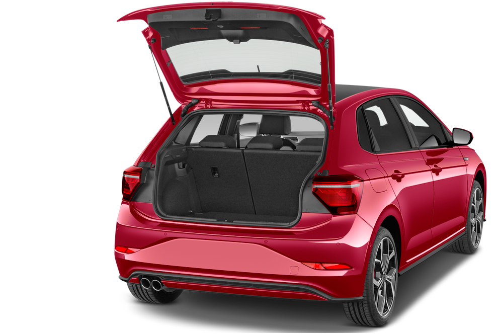 trunk