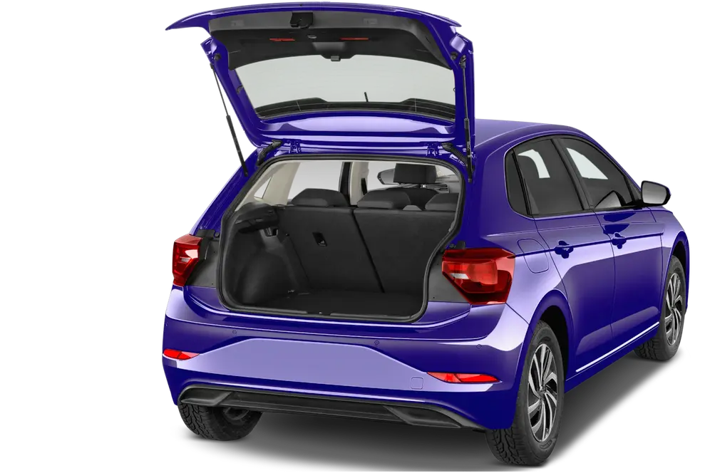trunk