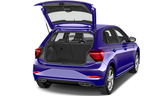 trunk