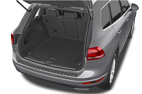 trunk
