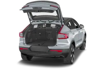 trunk