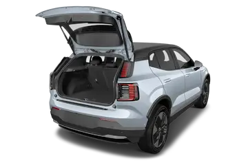 trunk