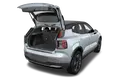 trunk