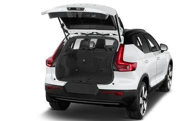 trunk