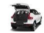 trunk