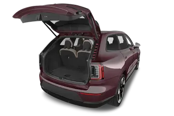 trunk