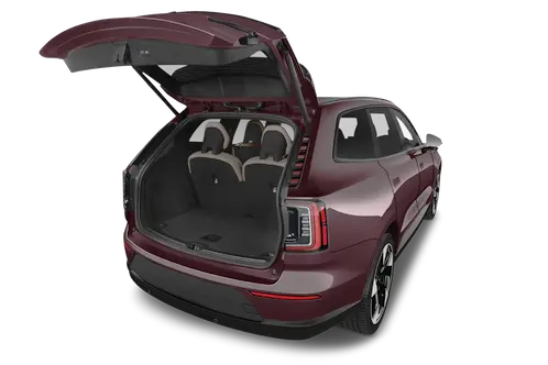 trunk