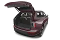 trunk