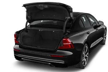trunk